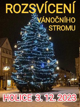 Rozsvcen vnonho stromu  - www.webtrziste.cz