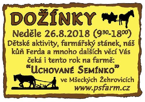 Donky na farm Uchovan Semnko - www.webtrziste.cz