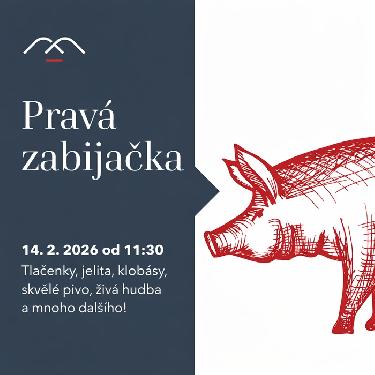 Prav� zabija�ka na Malevilu aneb Valent�n naruby - www.webtrziste.cz