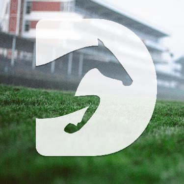 136. Velk� pardubick� se Slavia poji��ovnou - www.webtrziste.cz